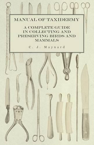 Cover image for Manual of Taxidermy - A Complete Guide in Collecting and Preserving Birds and Mammals