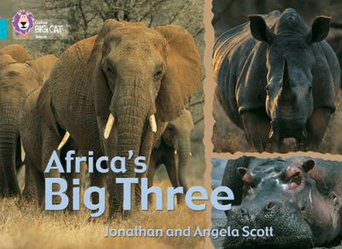 Cover image for Africa's Big Three: Band 07/Turquoise