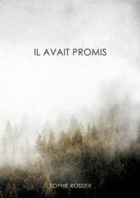 Cover image for Il avait promis