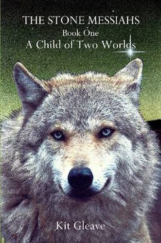 Cover image for The Stone Messiahs - Book One - A Child of Two Worlds