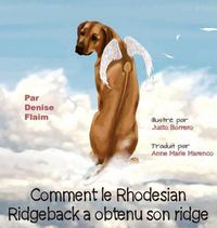 Cover image for Comment le Rhodesian Ridgeback a obtenu son ridge