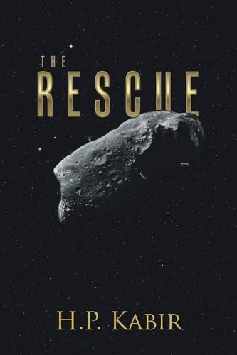 Cover image for The Rescue