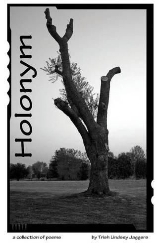 Cover image for Holonym