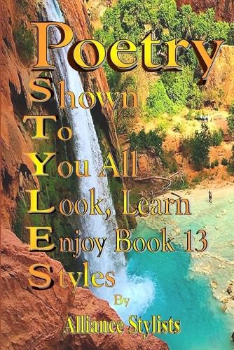 Cover image for Poetry Styles Book Thirteen
