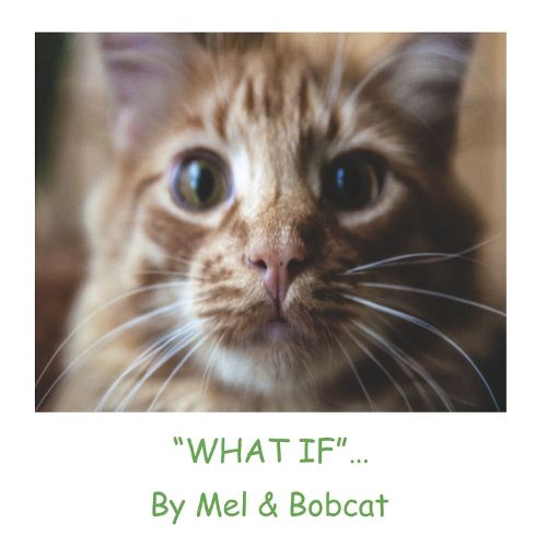 Cover image for What If...