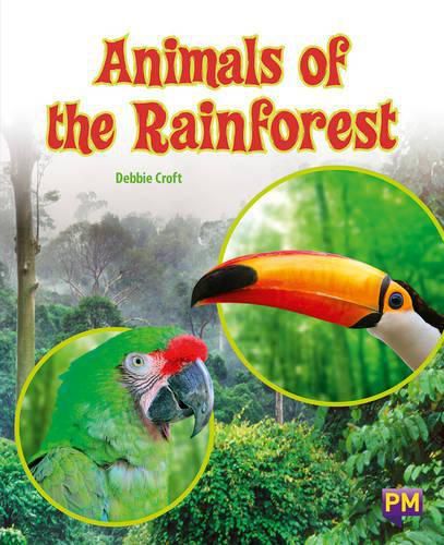 Animals of the Rainforest