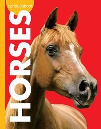 Cover image for Curious about Horses