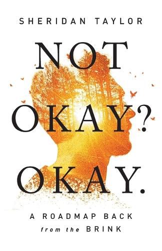 Cover image for Not Okay? Okay.