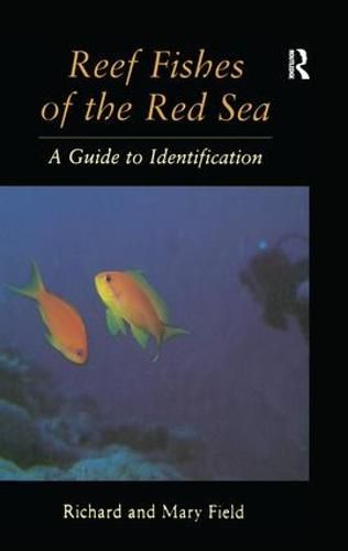 Cover image for Reef Fish Of The Red Sea