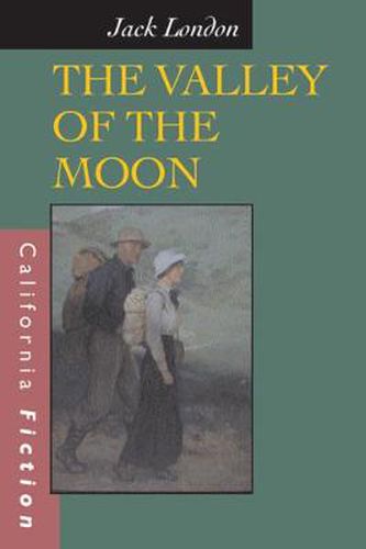 Cover image for The Valley of the Moon