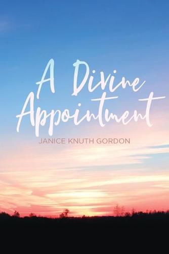 Cover image for A Divine Appointment