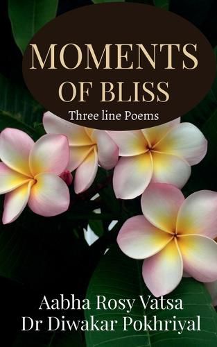 Cover image for Moments of Bliss