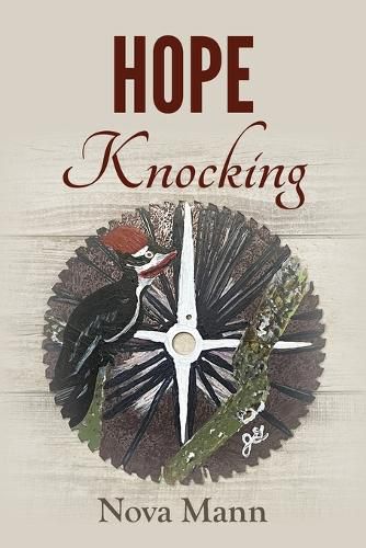 Cover image for Hope Knocking