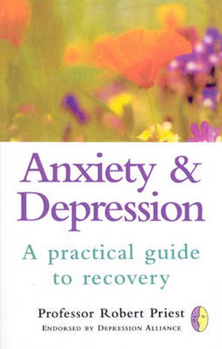 Cover image for Anxiety and Depression: A Practical Guide to Recovery