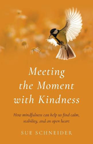 Cover image for Meeting the Moment with Kindness