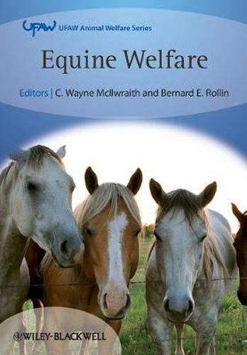 Cover image for Equine Welfare