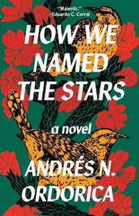 Cover image for How We Named the Stars