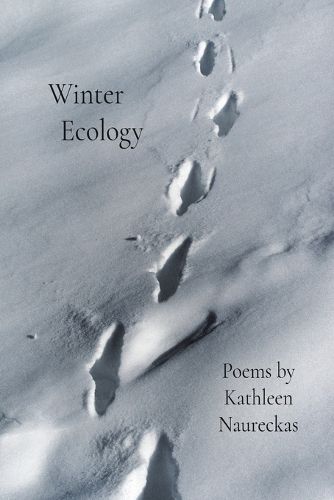 Cover image for Winter Ecology