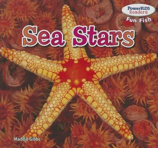 Cover image for Sea Stars