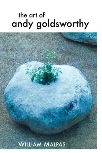 Cover image for THE Art of Andy Goldsworthy