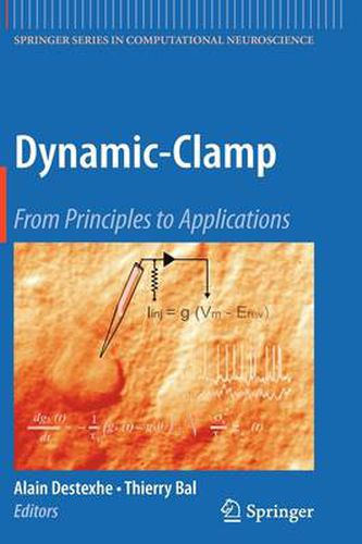 Cover image for Dynamic-Clamp: From Principles to Applications