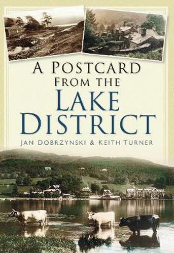 Cover image for A Postcard from the Lake District