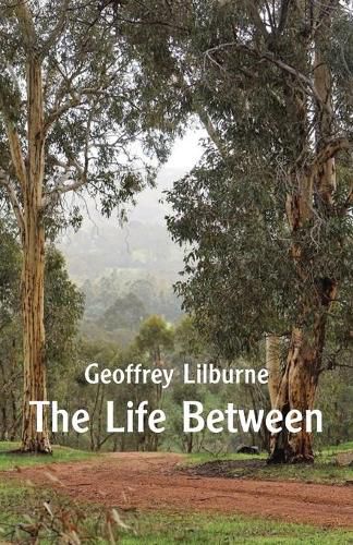 Cover image for The Life Between