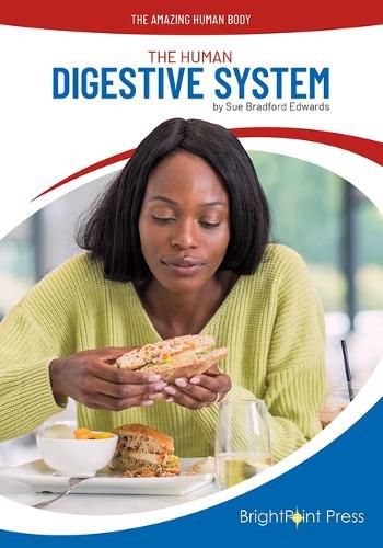 Cover image for The Human Digestive System