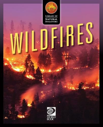 Cover image for Wildfires