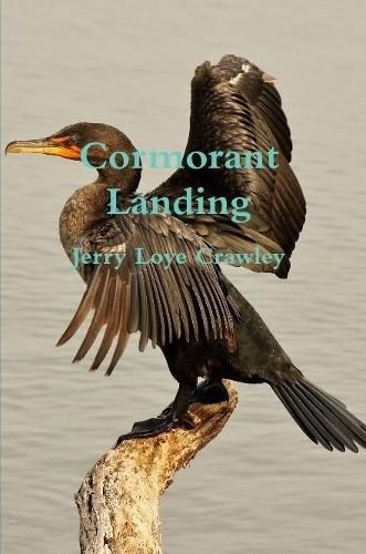 Cover image for Cormorant Landing