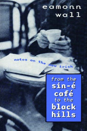 Cover image for From the Sin-e Cafe to the Black Hills: Notes on the New Irish