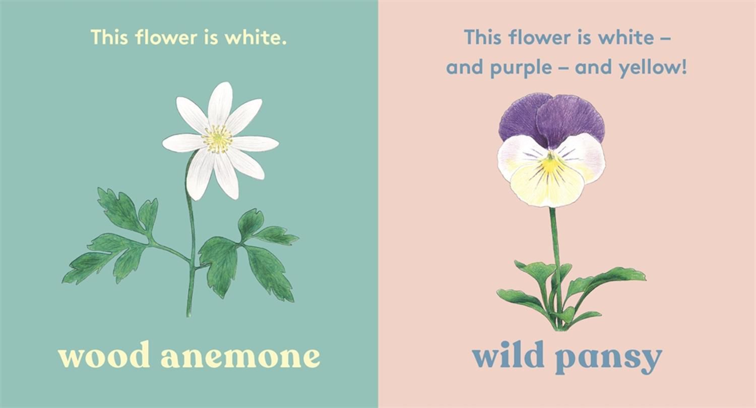 Look! A Flower!