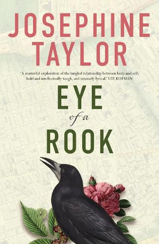 Cover image for Eye of a Rook