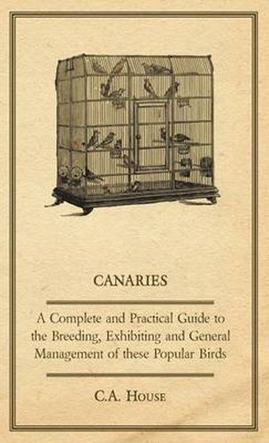 Cover image for Canaries - A Complete and Practical Guide to the Breeding, Exhibiting and General Management of These Popular Birds