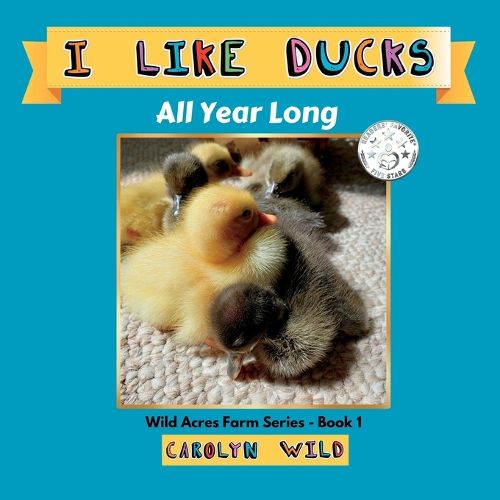 Cover image for I Like Ducks