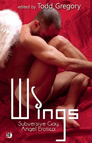 Cover image for Wings: Subversive Gay Angel Erotica