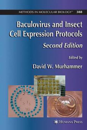 Cover image for Baculovirus and Insect Cell Expression Protocols