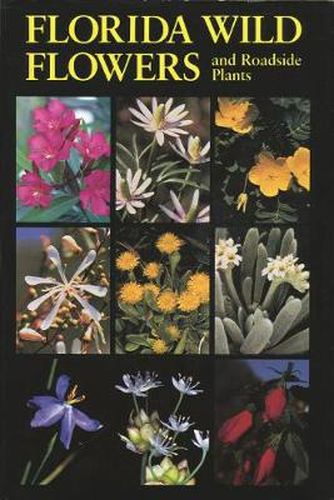 Cover image for Florida Wild Flowers and Roadside Plants