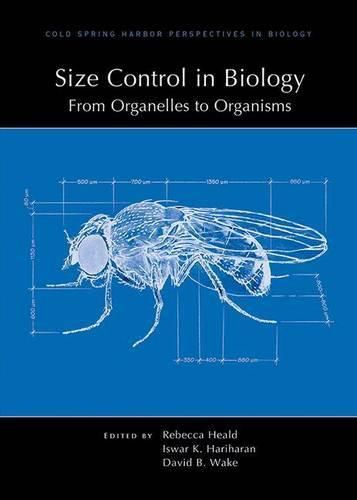 Cover image for Size Control in Biology: From Organelles to Organisms