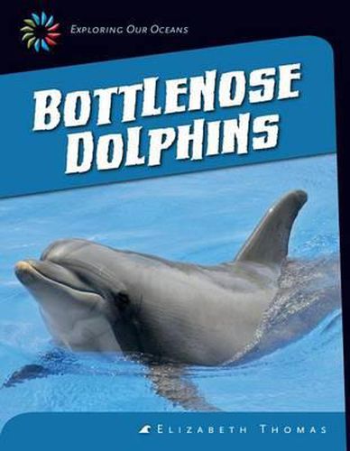 Bottlenose Dolphins