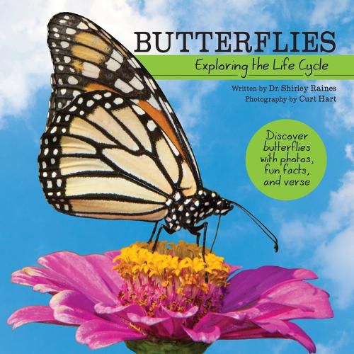 Cover image for Butterflies: Exploring the Life Cycle