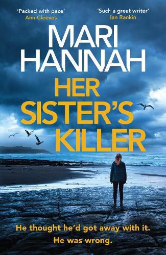 Cover image for Her Sister's Killer