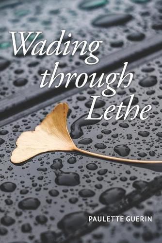 Cover image for Wading through Lethe