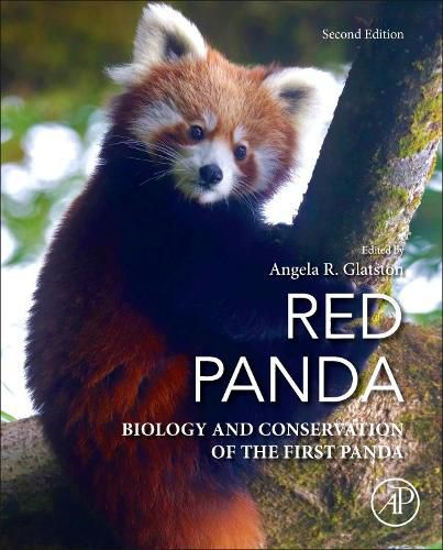 Cover image for Red Panda: Biology and Conservation of the First Panda