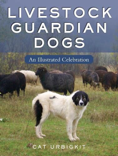 Cover image for Brave and Loyal: An Illustrated Celebration of Livestock Guardian Dogs