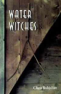Cover image for Water Witches