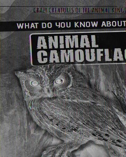 Cover image for What Do You Know about Animal Camouflage?