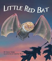 Cover image for Little Red Bat