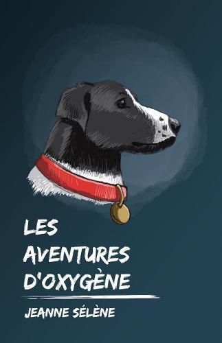 Cover image for Les aventures d'Oxygene