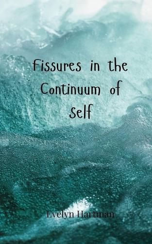 Cover image for Fissures in the Continuum of Self